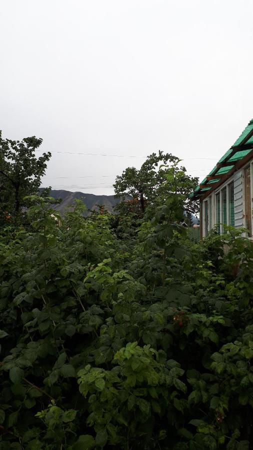 Hotel Nurgul Bokonbayevo Exterior foto